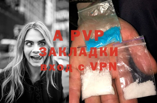 a pvp Алзамай