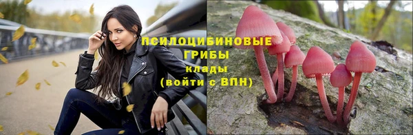 прущая мука Алексин