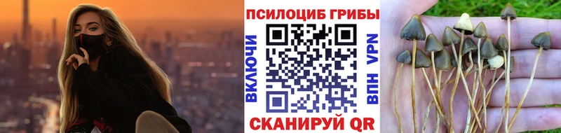 купить наркотики цена hydra Псилоцибиновые грибы мухоморы нарко площадка как зайти Удачный